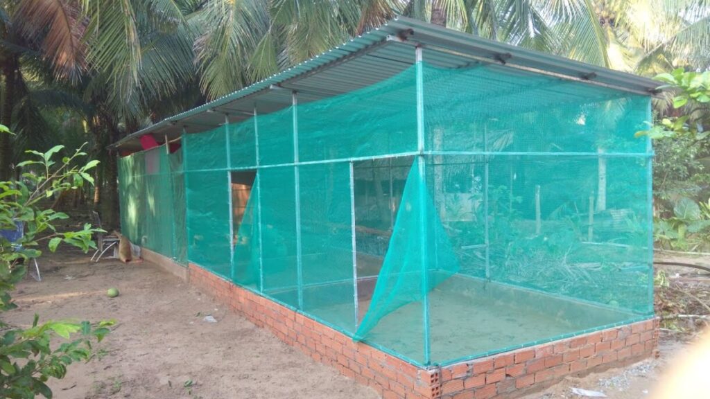 Gà nước là gì? Hướng dẫn kỹ thuật nuôi đạt tiêu chuẩn 7 Chuồng trại là yếu tố nắm vai trò rất đặc biệt trong nuôi gà nước